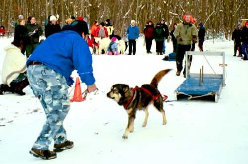 sled-weighpull.jpg