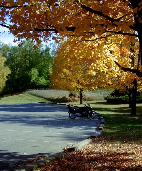 picnic area parking.jpg