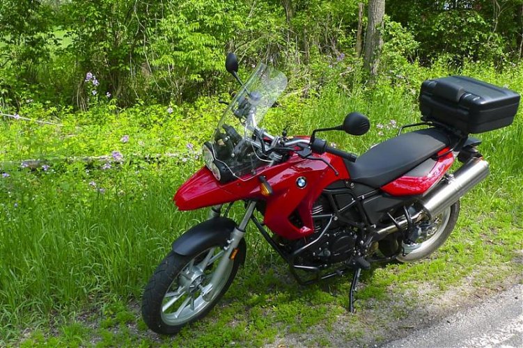 F650GS in weeds.jpg