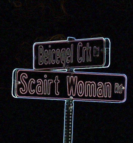 street sign in neon.jpg