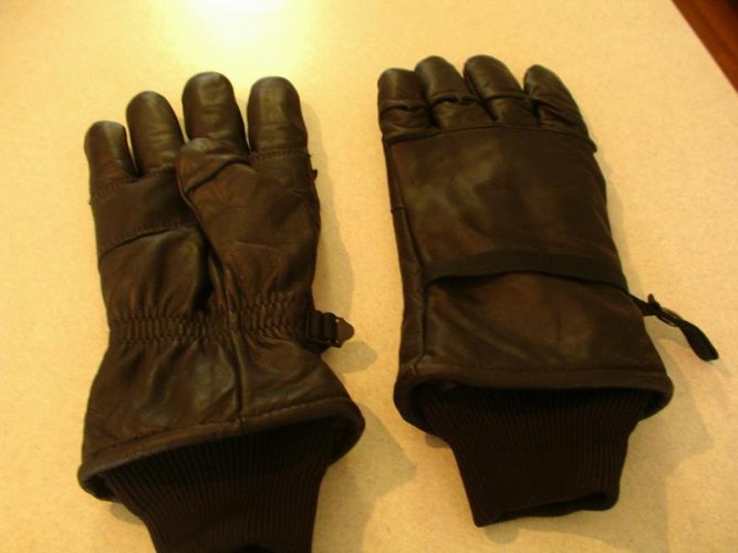 gloves.jpg