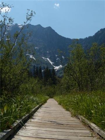 Pathway to the Mountain.jpg