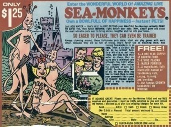 340x_seamonkeys.jpg