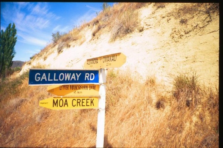 MOA Creek NZ.jpg