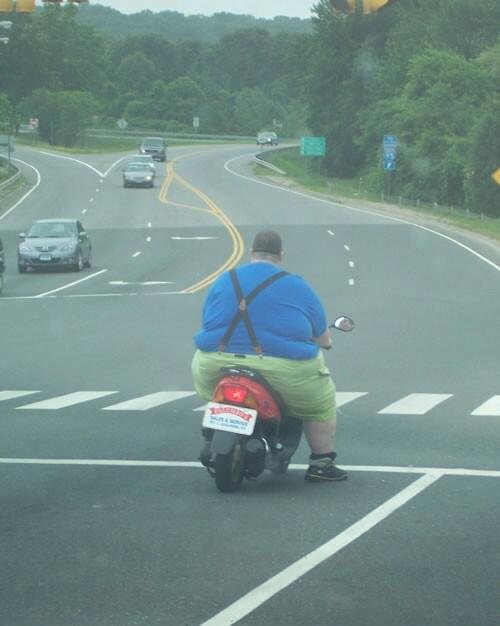 fat guy on scooter.jpg