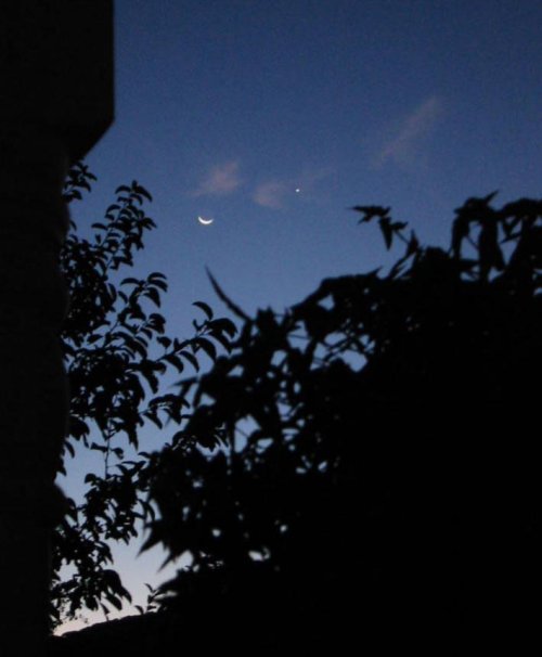Moon and morning star.jpg