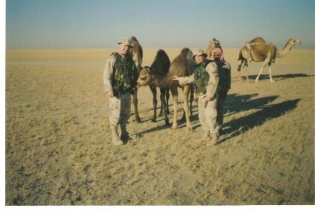 There be camals in Iraq-1.jpg