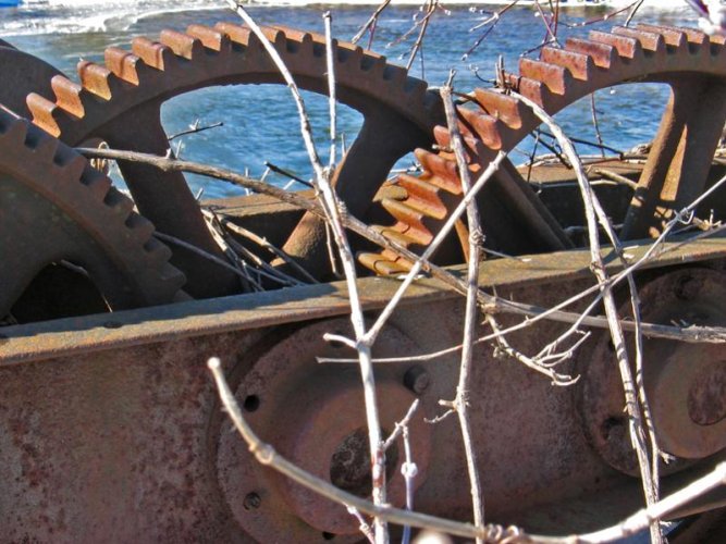 Gears and twigs at dam.jpg