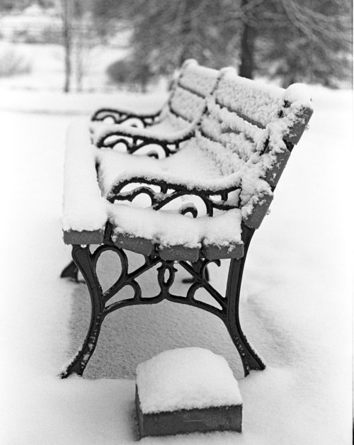 Snow covered bench.jpg