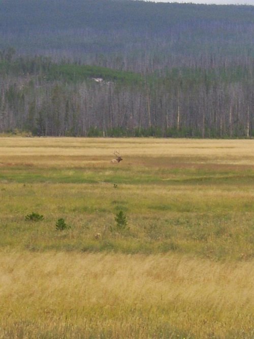 Wyoming 160.jpg