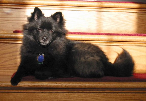 Gabbie on stairs .jpg