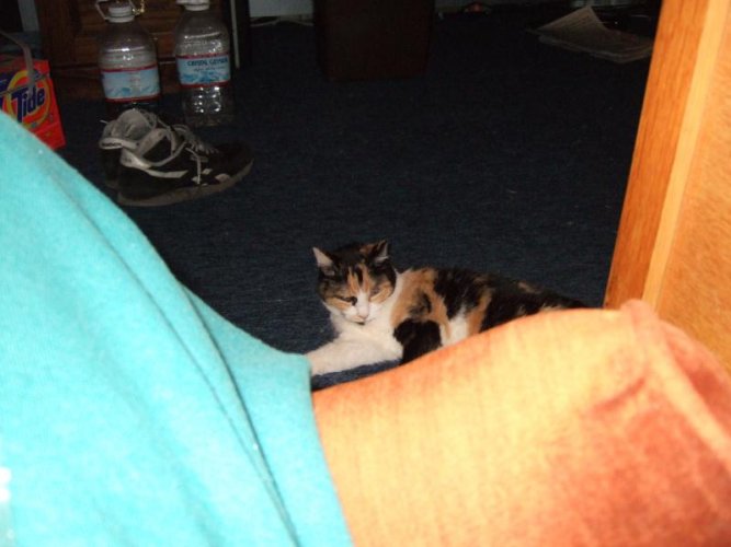 2005_0910muffy0001.jpg