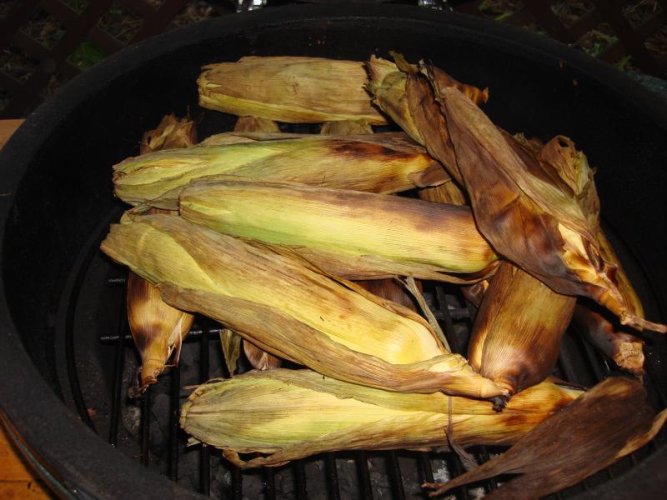 corn 001.jpg