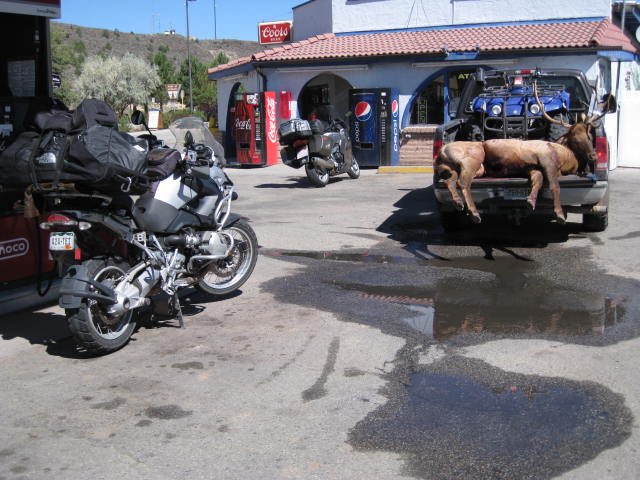 Colorado State Fair 2012 051.JPG