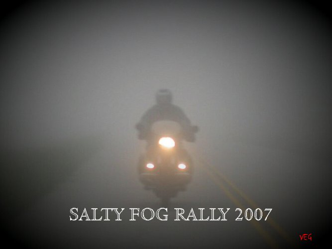 saltyfogrally 2JPG.JPG