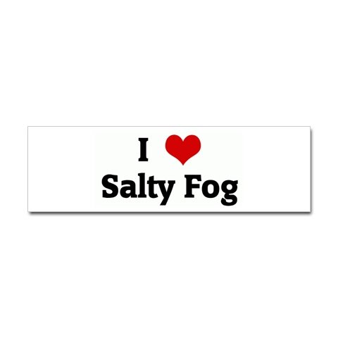 salty fog2.jpg