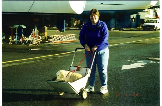 Sherrie going for a ride-1.jpg