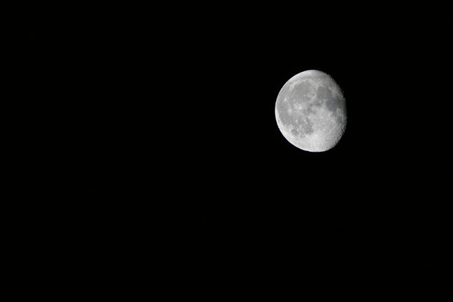 IMG_1996 Moon with Pronto.jpg