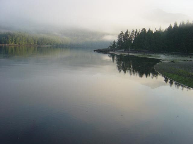 Port Neville Fog-1.jpg