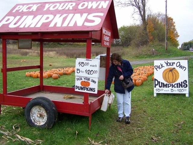 pumkin store.jpg