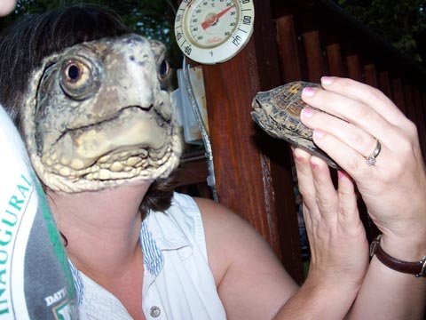 turlleface.jpg