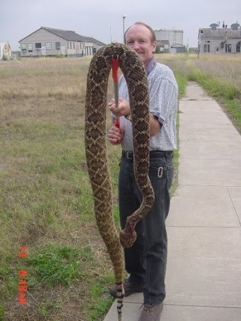 Big snake.JPG