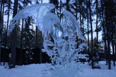 Ice Bird Day.jpg