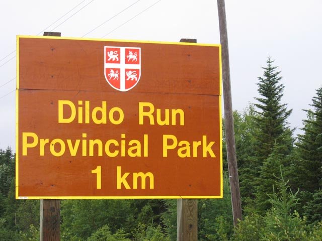 Dildo Run (1 of 1).jpg