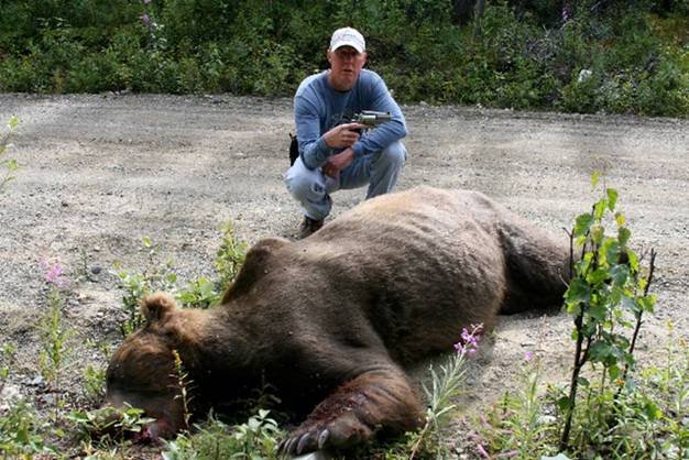 alaska bear #1.jpg