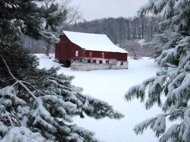 Snowy Barn.jpg