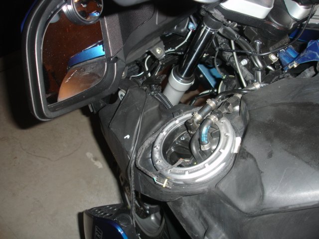 DSC00441.JPG