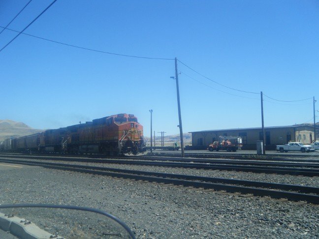 2010_0804AlaskaTrip0044Train.JPG