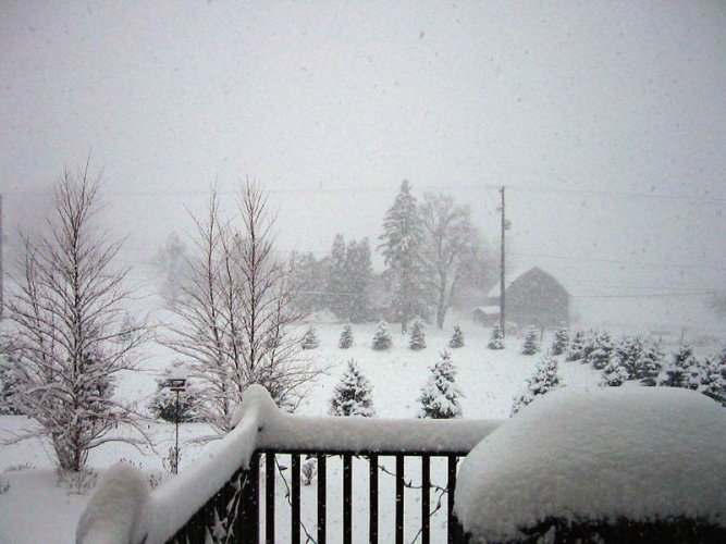Snowy Back Yard 2.jpg