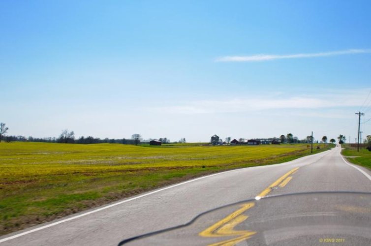 Kentucky Farmland - Copy.jpg