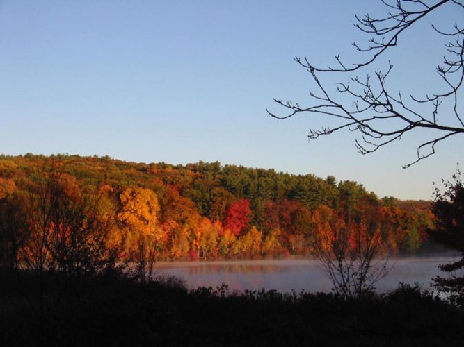 Red Leaves Lake and Fog 2.jpg