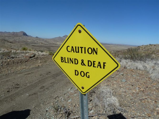 Blind&Deaf.jpg