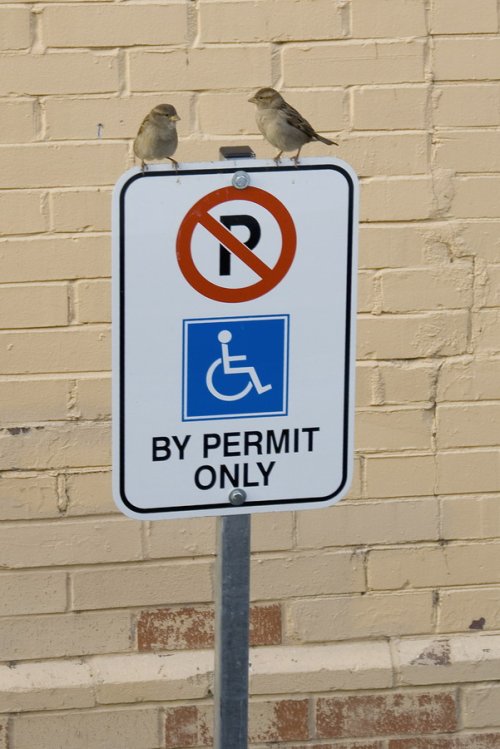 Parking by permit.jpg