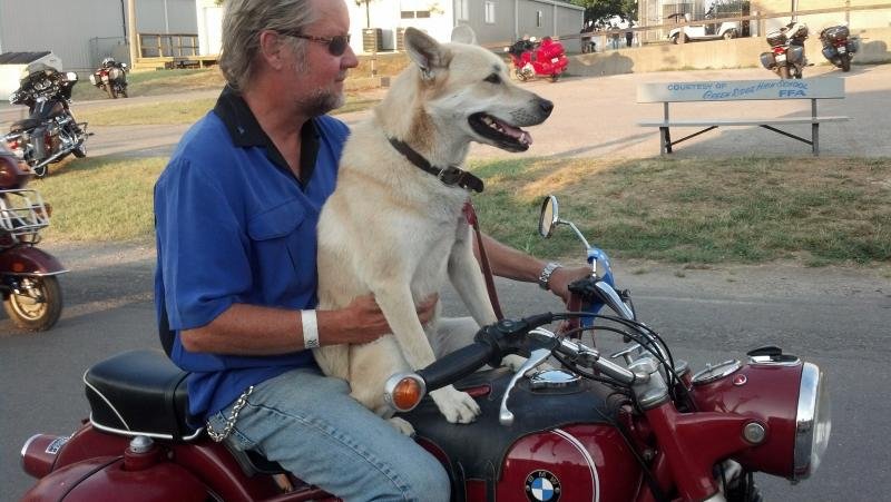 Dog on Bike.jpg