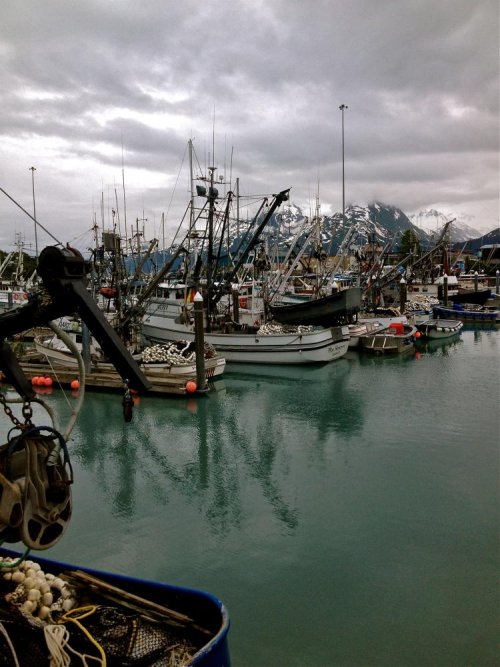 Valdez Alaska Fishing Boats.jpg