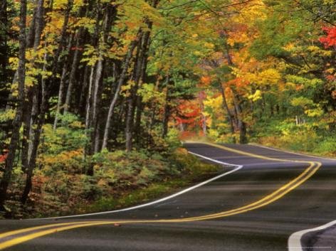 chuck-haney-canopy-of-autumn-color-over-highway-41-copper-harbor-michigan-usa_i-G-29-2962-UCGQD0.jpg