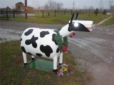 unusual-mailboxes-animal-shapes.jpg