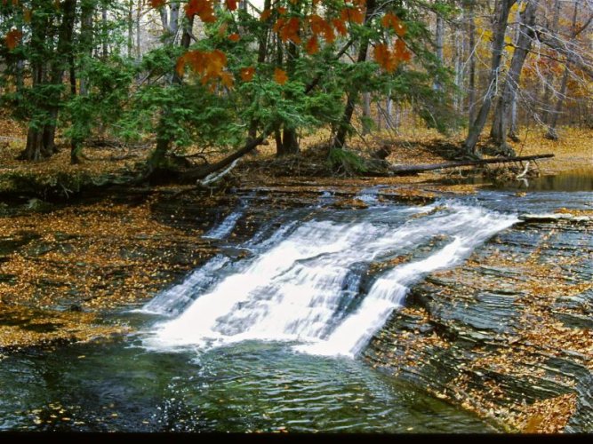 Waterfall @ Cowells Beach, (1078).jpg