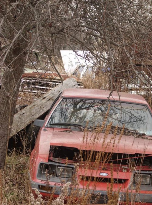 Abandoned red ford.jpg