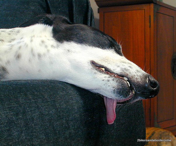 On Couch Tounge out-Master.jpg