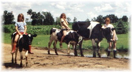 girls_riding_cows1.jpg