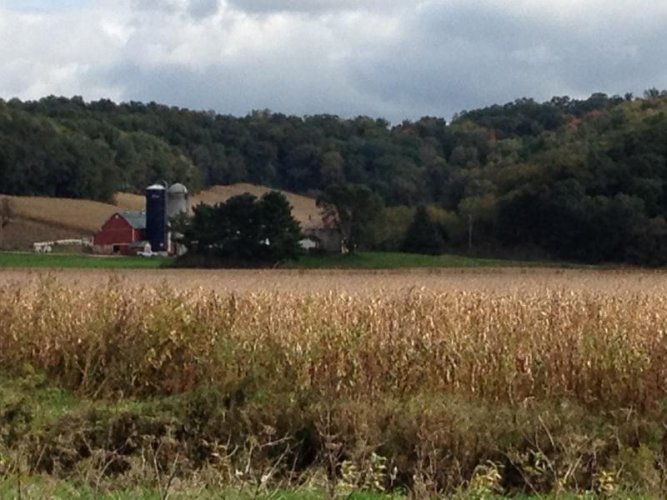 Wisconsin farm.jpg