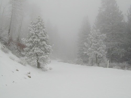 shermansnows.jpg