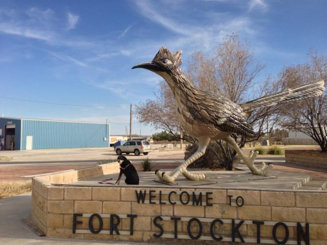 roadrunner ft stockton.jpg