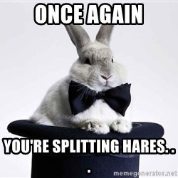 once-again-youre-splitting-hares-.jpg