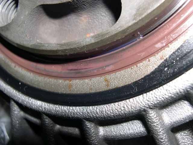 BadBevelSeal.7.1.jpg BadBevelSeal.7.1.jpg
